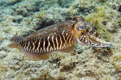 Gran Canaria: Scuba Diving for Beginners - Getting to Puerto Escala harbour and what starts the session