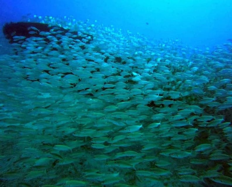 Gran Canaria: Scuba Diving for Beginners - Your open-water experience up to 12 meters: what happens in the real water