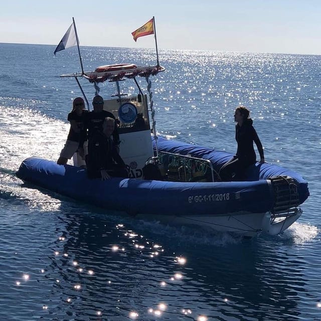 Gran Canaria: Scuba Diving for Beginners - What you’ll see in the Canary Islands waters