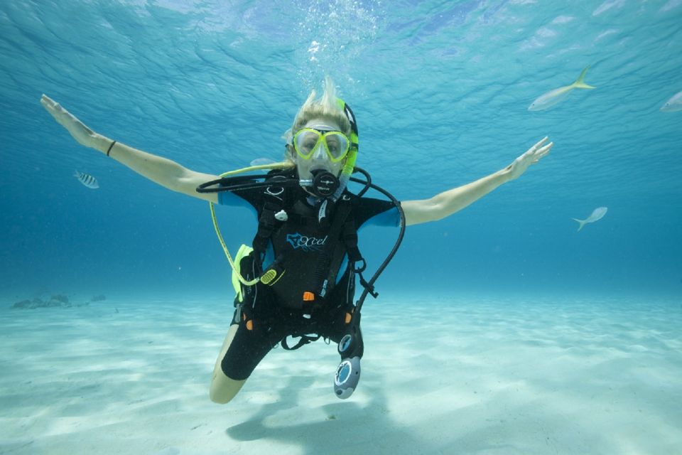 Gran Canaria: Scuba Diving for Beginners - Price and value: what $106 buys you (and why it can be fair)