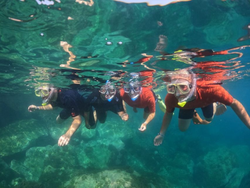 Gran Canaria: Snorkel tour with boat on the west coast - Puerto de Mogán Guided Hour: More Than a Name-Check on the Map