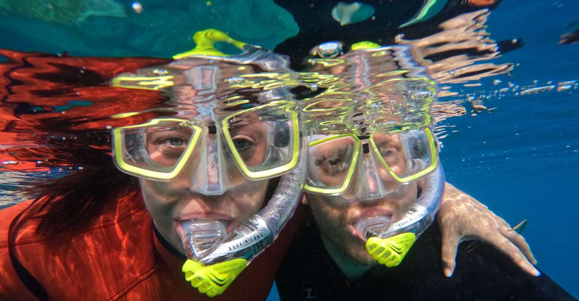 Gran Canaria: Snorkel tour with boat on the west coast - Itinerary Reality Check: Why the Tour Can Feel Fast (In a Good Way)