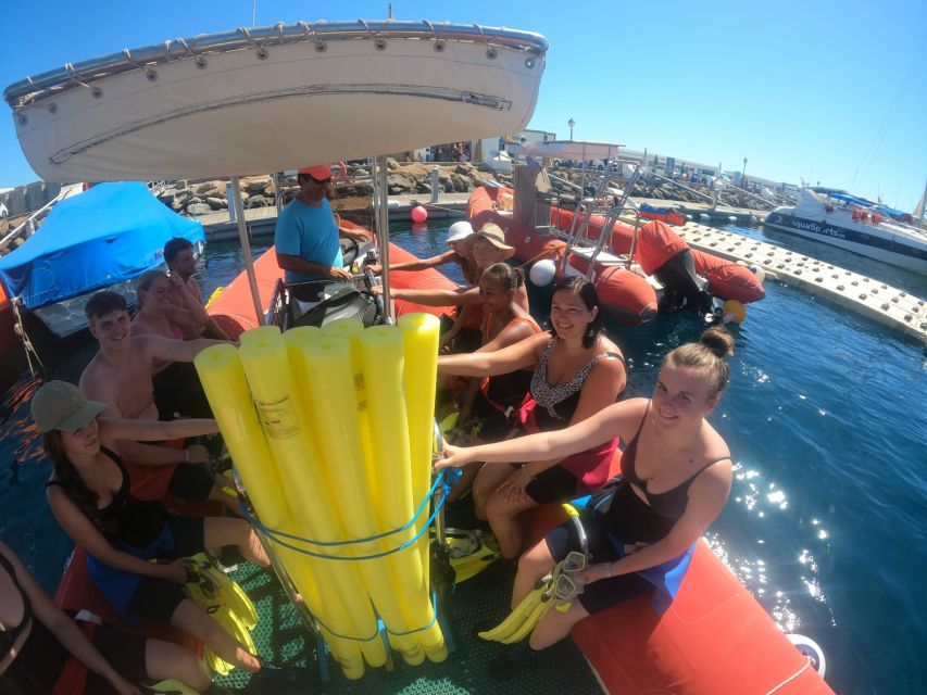 Gran Canaria: Snorkel tour with boat on the west coast - Price and Value: $81 for a Guided West Coast Boat-and-Swim