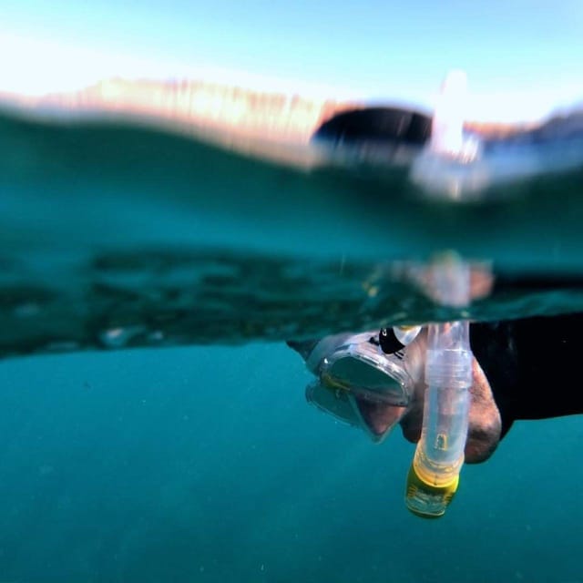 Gran Canaria: Snorkeling Trip - Key takeaways before you go