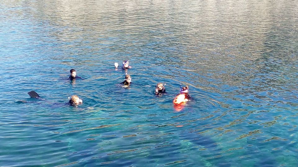 Gran Canaria: Snorkeling Trip - Entering the water from Puerto Rico de Gran Canaria