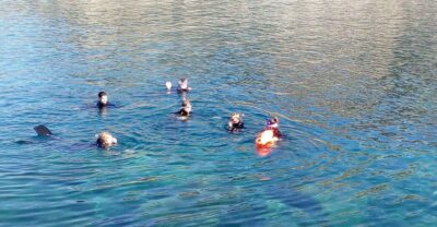 Gran Canaria: Snorkeling Trip - Small-group setup with English instruction (and why that matters)