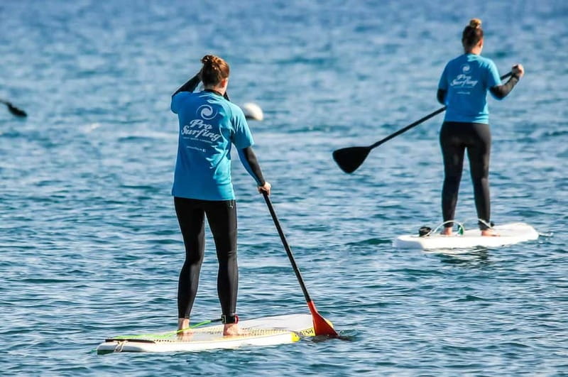 Gran Canaria: Stand-Up Paddle Lesson & Snorkeling Tour - The 20-Minute Van Ride: Set Your Expectations