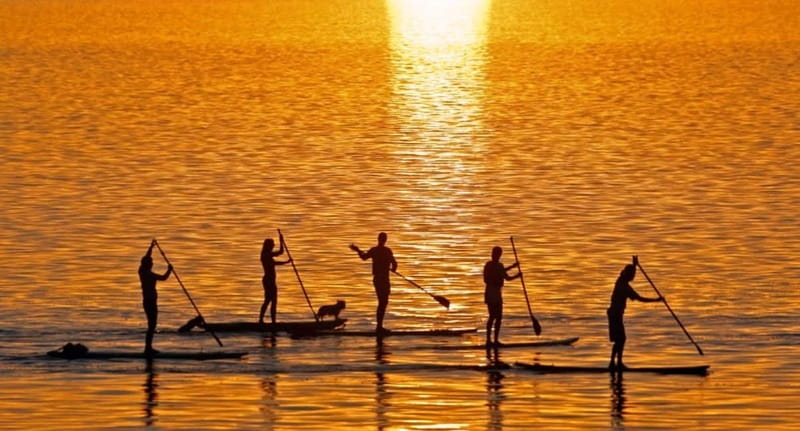 Gran Canaria: Stand-Up Paddle Lesson & Snorkeling Tour - The South and West Coast View: More Than One Angle