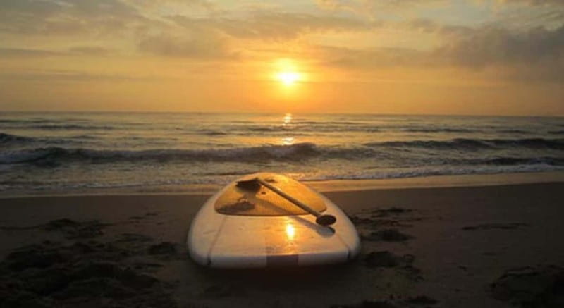 Gran Canaria: Stand-Up Paddle Lesson & Snorkeling Tour - Return to PRO SURFING COMPANY: Keep the Day Moving