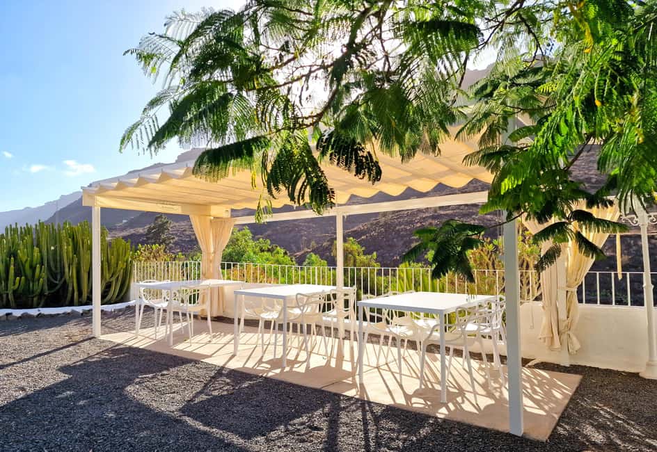 Gran Canaria: tasting wine & local cheese - Private group setup: comfort, questions, and languages