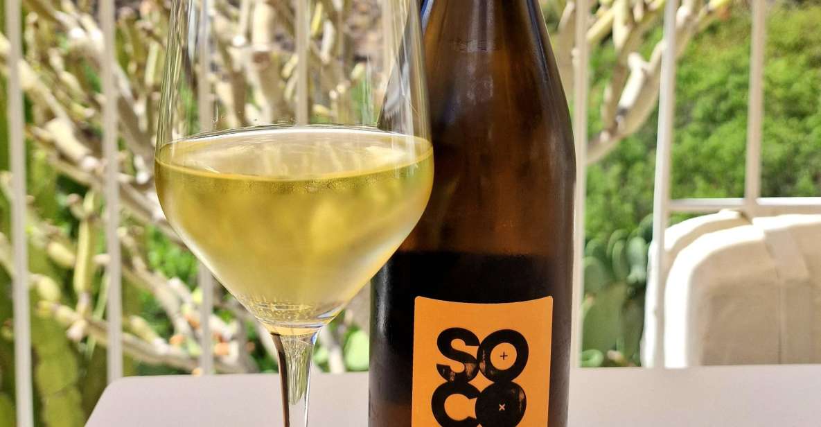 Gran Canaria: tasting wine & local cheese - Price and value: is $63 per person fair?