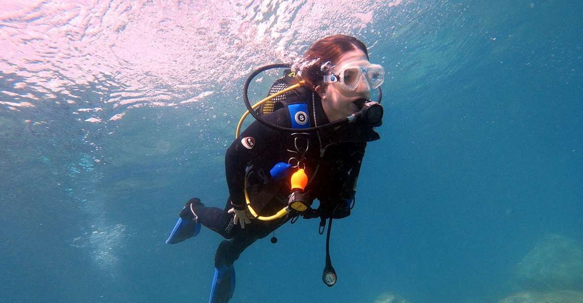 Gran Canaria: Try Scuba Diving for Beginners - Your Guided Underwater Hour: Fish, Rays, and a Calm Pace