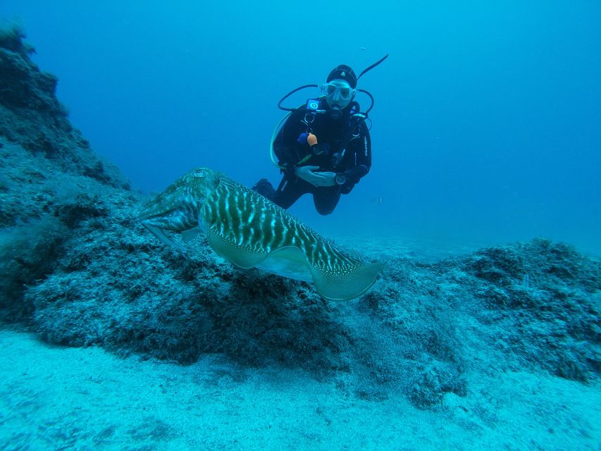 Gran Canaria: Try Scuba Diving for Beginners - Price and Value: Is $94 a Fair Deal for Your First Time?