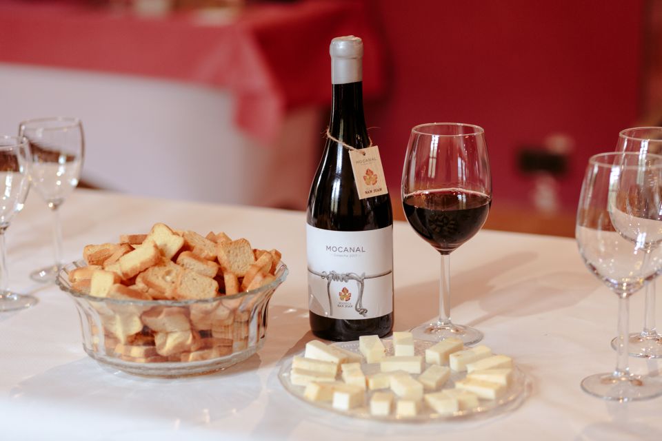 Gran Canaria: Winery Tour, Wine Museum, and Tasting - Entering an Organic Estate That’s Kept Its Traditions