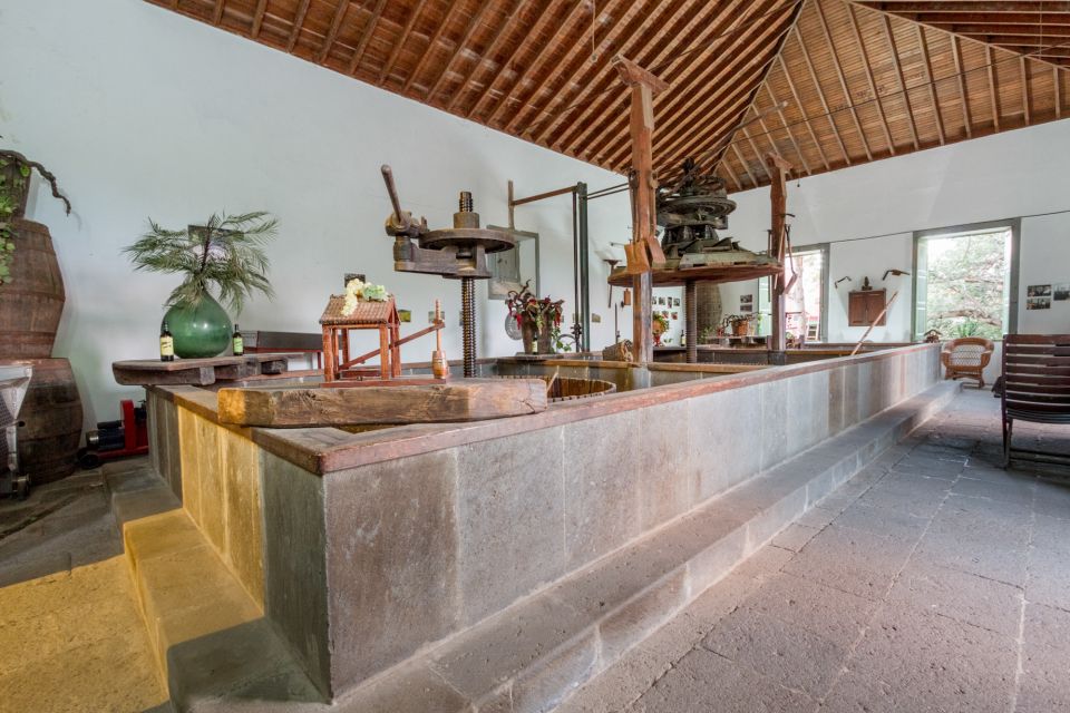 Gran Canaria: Winery Tour, Wine Museum, and Tasting - Old vs. New: How the Modern Facility Fits In