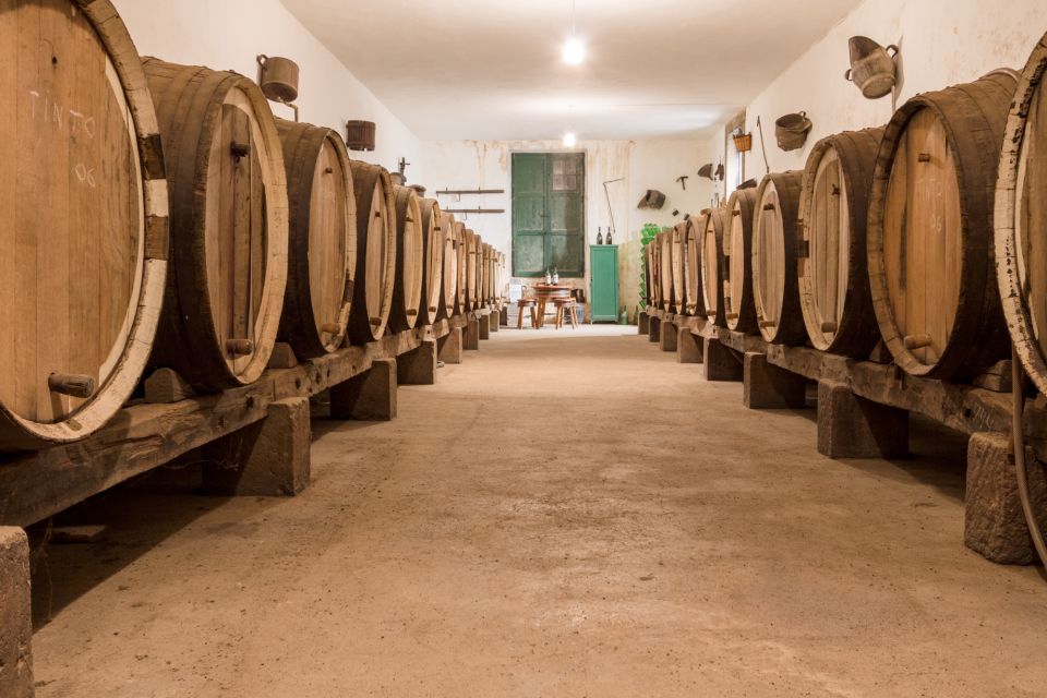 Gran Canaria: Winery Tour, Wine Museum, and Tasting - The Tasting: Two Wines with Cheese, Toast, Olives, and Garden Mood