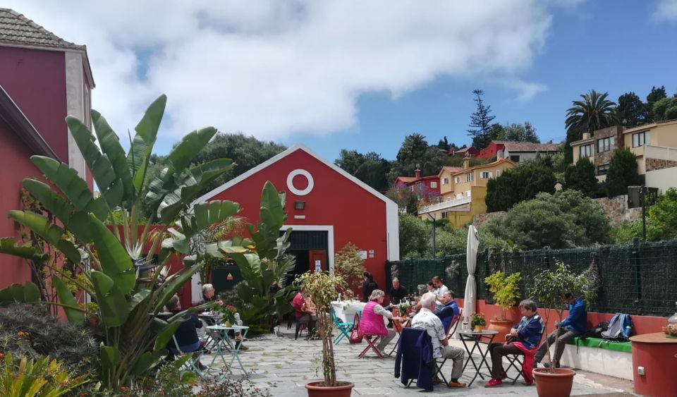 Gran Canaria: Winery Tour, Wine Museum, and Tasting - Price and Value: Why $34 Feels Fair for What You Get