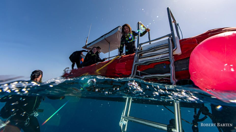 Gran Canaria:Live an Adventure and Learn to Dive with Expert - What to bring, what you can’t do, and how to prepare