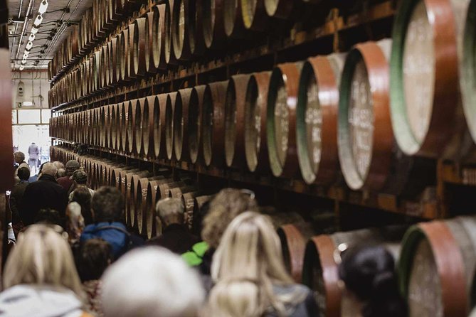 Guided Tour at Ron Arehucas Distillery - Key Points Worth Noticing
