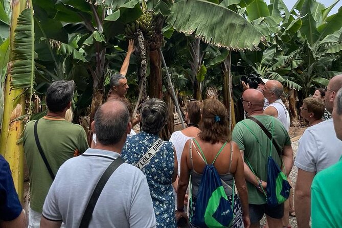 Guided tour of the Banana World - Key takeaways