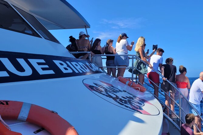 Half-Day Cruise Tour-Dolphin and Whale Watching - Puerto Rico Marina: an easy start for a short adventure