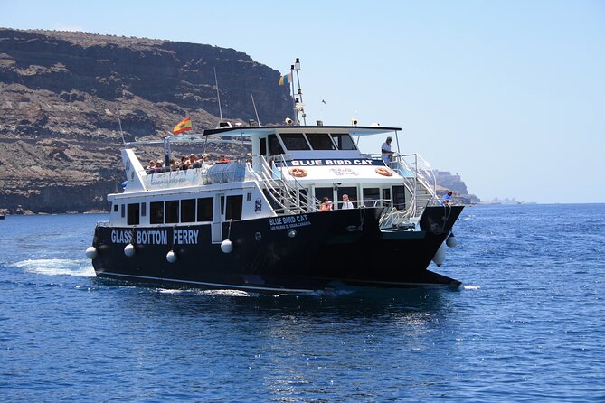 Half-Day Cruise Tour-Dolphin and Whale Watching - Onboard comfort and how to pick the best seat