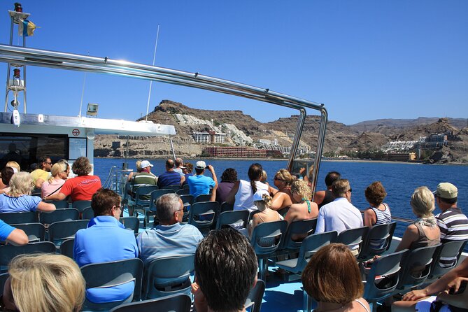 Half-Day Cruise Tour-Dolphin and Whale Watching - Price and value: why $44.65 can feel like a bargain