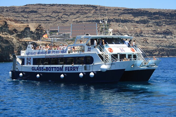 Half-Day Cruise Tour-Dolphin and Whale Watching - Pickup, timing, and how to avoid the most common day-trip mistakes
