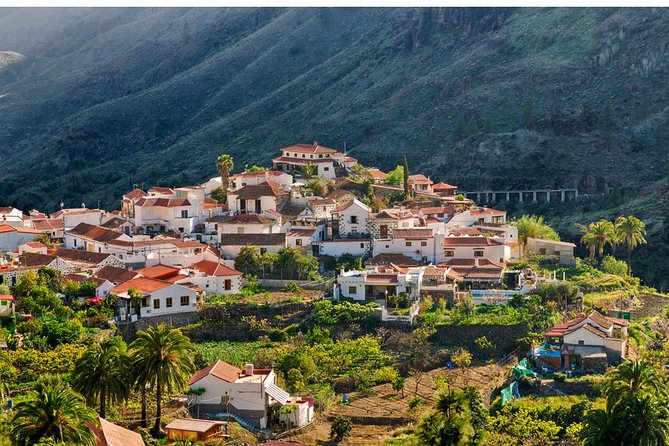 Jeep Tour 4x4 in Gran Canaria - Stop 3: Fataga and the ravine of the 1,000 palms