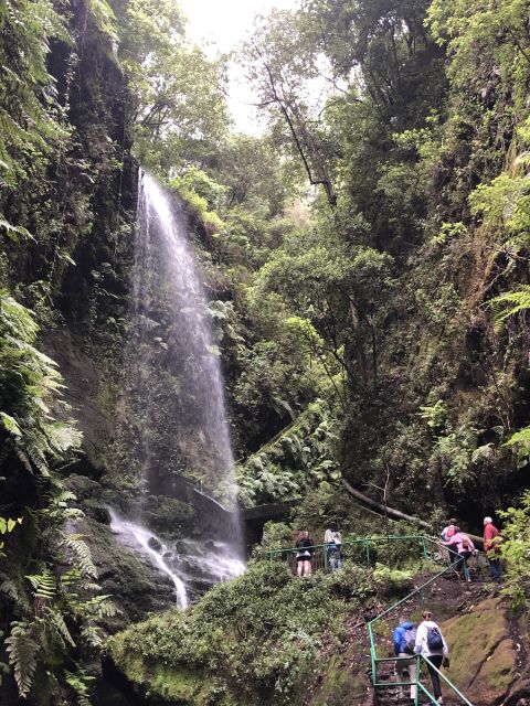 La Palma: North Island Bus Tour with Ron Aldea Distillery - The north side of La Palma: why it feels different