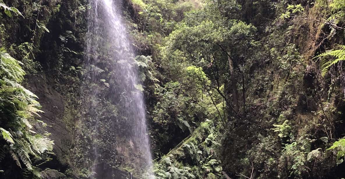 La Palma: North Island Bus Tour with Ron Aldea Distillery - Mirador de la Montaña: the view you’ll remember when you’re home
