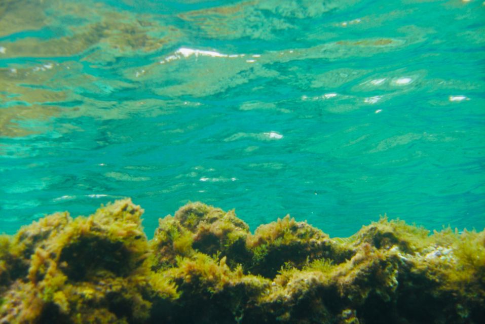 Las Canteras Scuba Diving - Gear Up: What’s Included and Why It Matters