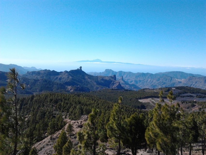 Las Palmas: 8-Hour Gran Canaria Island Highlights Tour - Pico de las Nieves: Gran Canaria’s Highest Point and a Possible Tenerife Glimpse