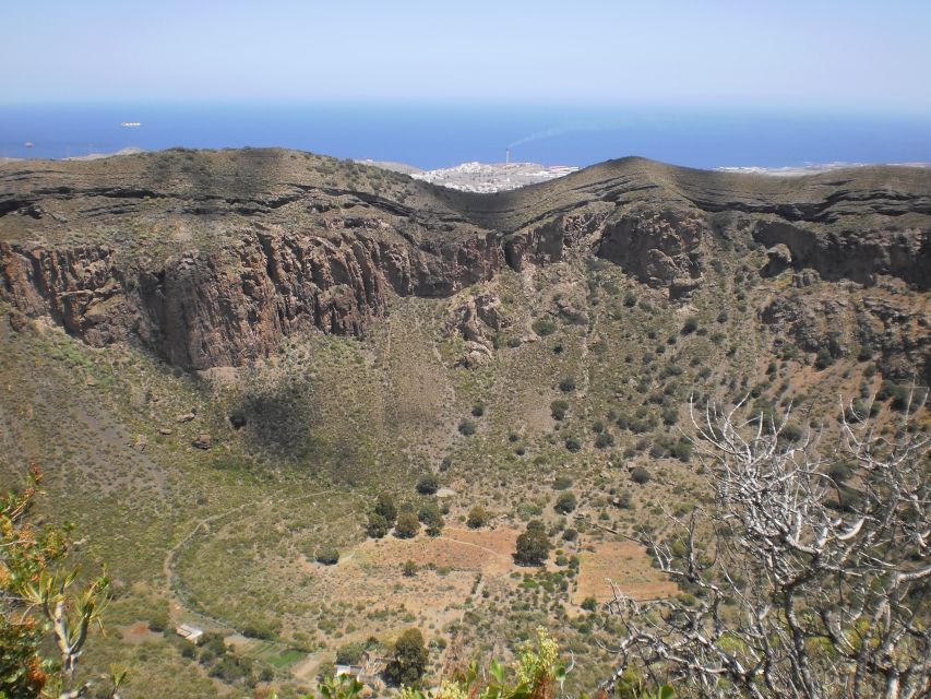 Las Palmas: 8-Hour Gran Canaria Island Highlights Tour - Price and Logistics: What You’re Paying For (and What You Should Plan For)