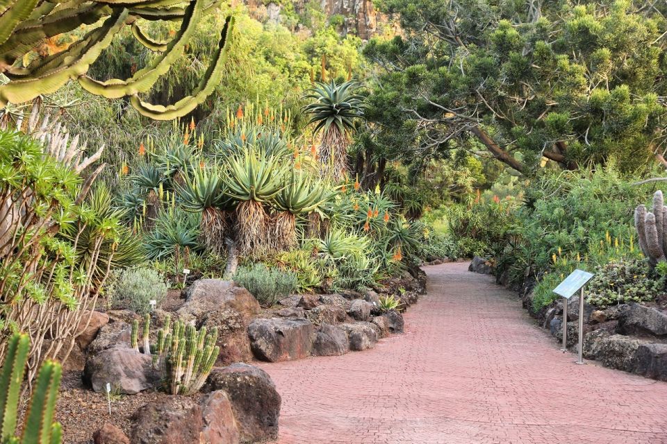 Las Palmas, Botanical Gardens and Bandama Volcano Tour - Should You Book This Las Palmas, Botanical Gardens and Bandama Tour?