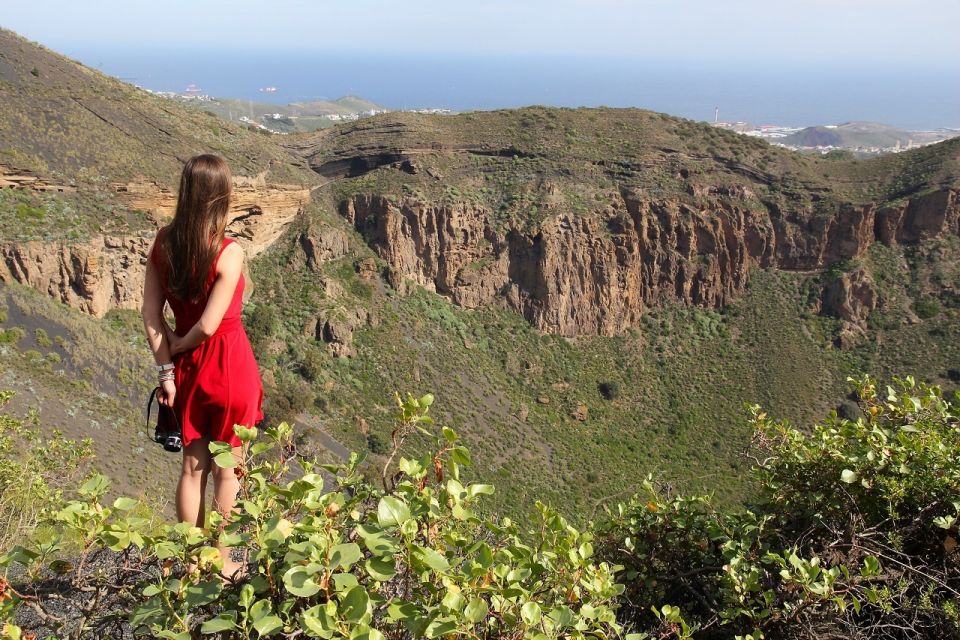 Las Palmas, Botanical Gardens and Bandama Volcano Tour - Who This Tour Fits Best (And Who Might Prefer Something Else)