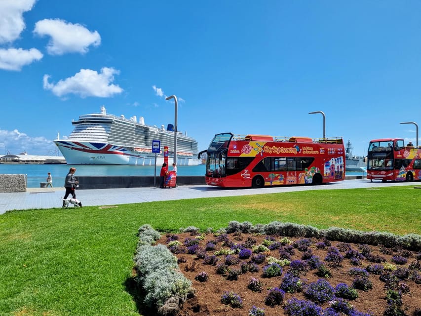 Las Palmas: City Sightseeing Hop-On Hop-Off Bus Tour - Hop on, hop off: how to use the loop without wasting time
