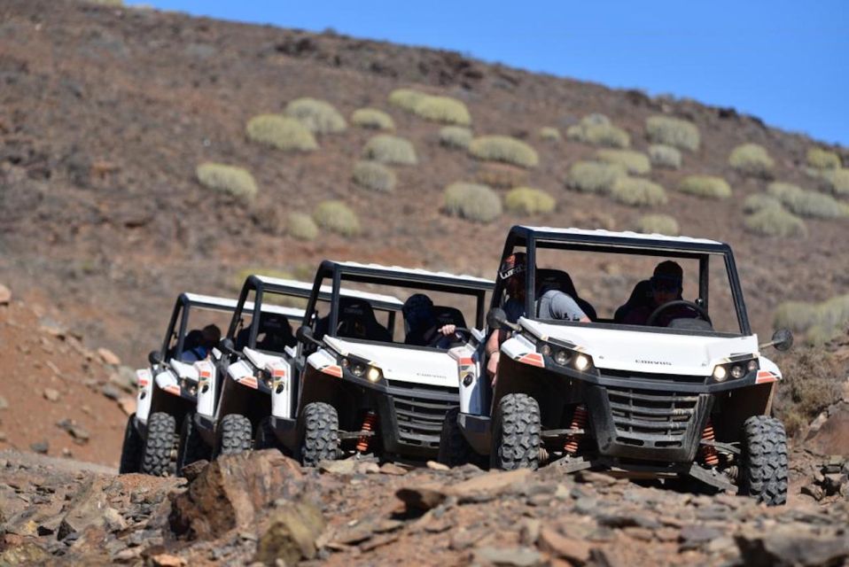 Las Palmas: Gran Canaria Guided Buggy Tour - Key things you’ll notice on this Las Palmas buggy tour