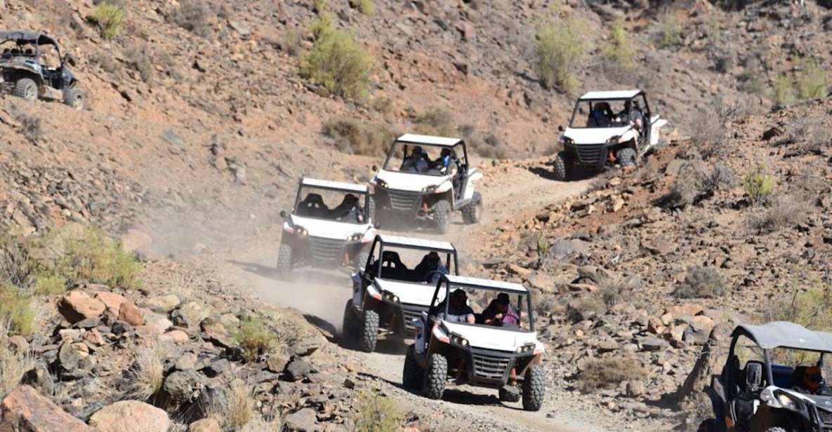 Las Palmas: Gran Canaria Guided Buggy Tour - Getting Dirty: What 100% Off-Road Really Feels Like in Gran Canaria