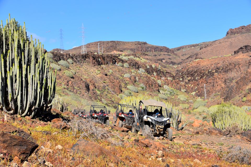 Las Palmas: Gran Canaria Guided Buggy Tour - The Dust Factor: Gear, Shoes, and the Reality of Dirt Roads