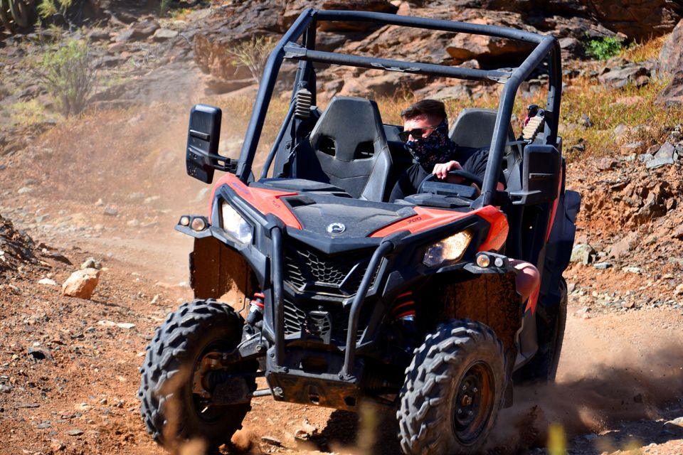Las Palmas: Gran Canaria Guided Buggy Tour - Pickup, Return Transport, and Small Logistics to Watch
