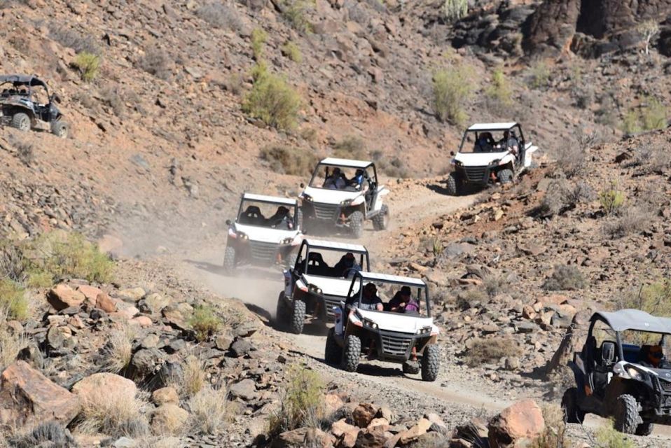 Las Palmas: Gran Canaria Guided Buggy Tour - Who Should Book This Buggy Tour (and Who Should Skip It)