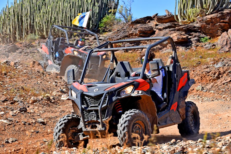 Las Palmas: Gran Canaria Guided Buggy Tour - Should You Book This Las Palmas Buggy Tour?