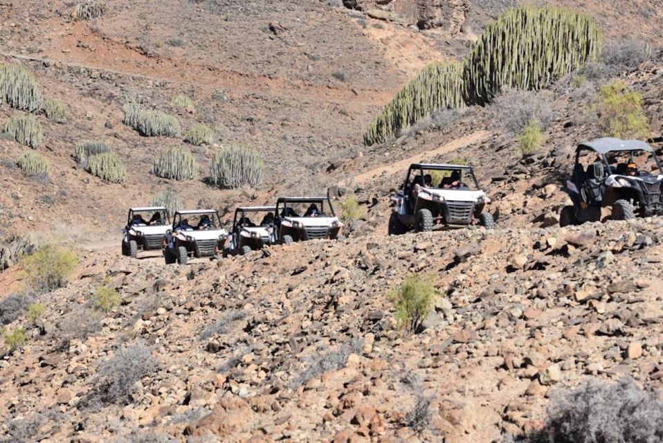Las Palmas: Gran Canaria Guided Buggy Tour - Your 2-Hour Plan in Southern Gran Canaria (and Why the Stops Matter)