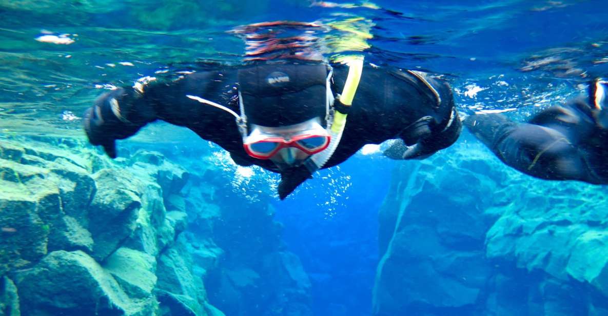Las Palmas: Las Canteras Beach Snorkeling Trip - Key Highlights You’ll Feel Right Away