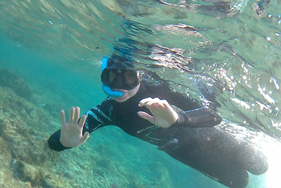 Las Palmas: Las Canteras Beach Snorkeling Trip - Why Las Canteras Snorkeling Works in the Real World