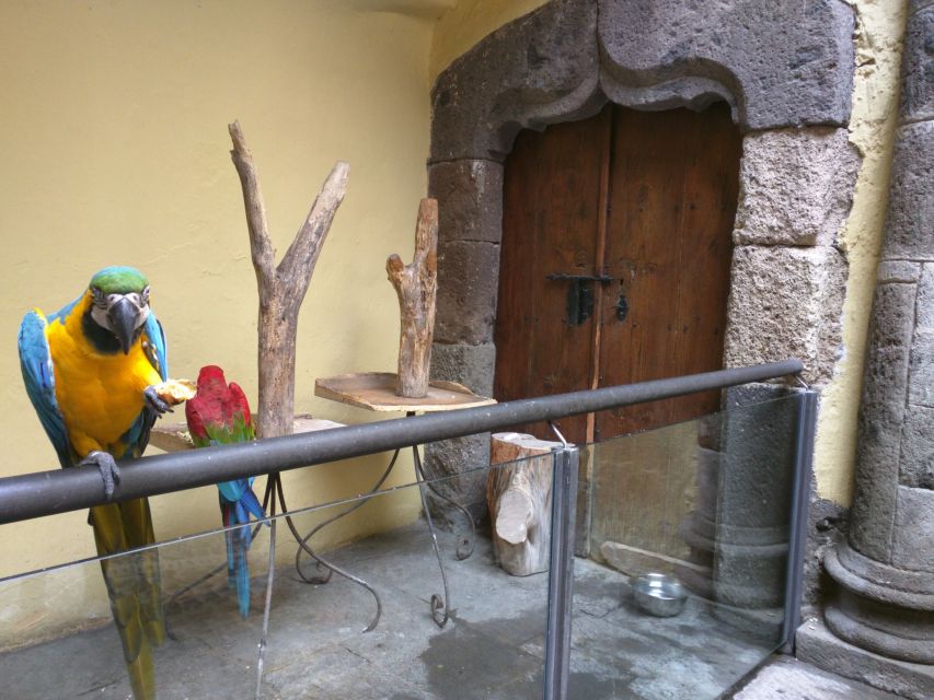Las Palmas: Private Old City Guided Walking Tour with Tapas - Tapas and a Drink: A Local Pause That’s Part of the Point