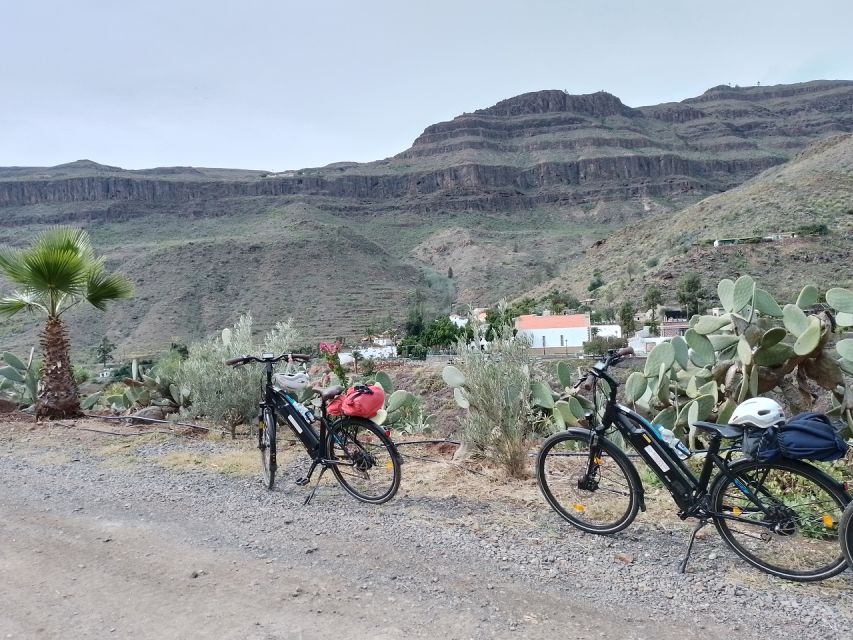 Maspalomas: Ayagaures E-Bike Mountain Tour Optional Tapas - Getting started at Bici Bike Vintage in Maspalomas