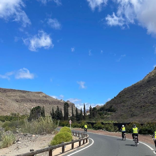 Maspalomas: Ayagaures E-Bike Mountain Tour Optional Tapas - E-bike climbing toward Ayagaures: valley plants and cactus country