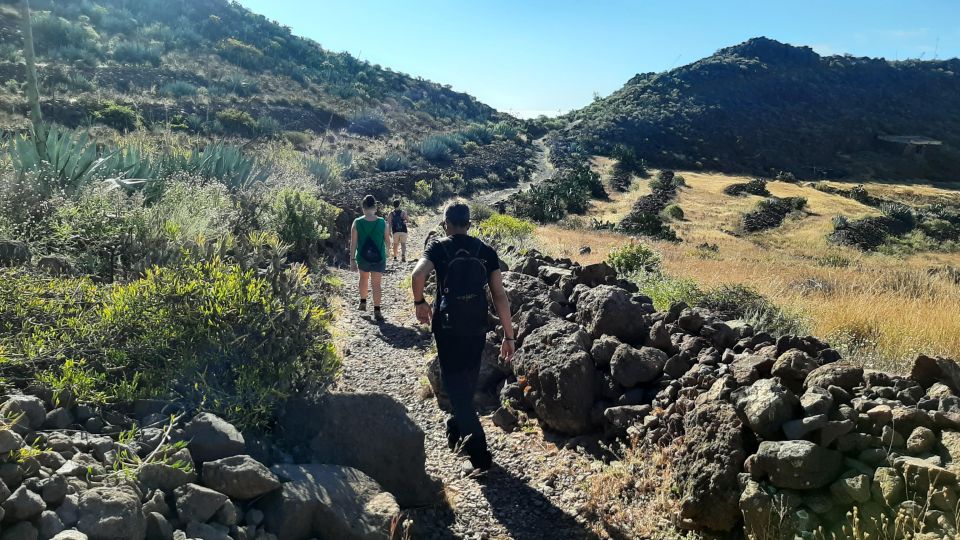 Maspalomas: Barranco de las Vacas, Caves, Farmhouse Tour - What to wear and bring for a 4 km walk in all weather